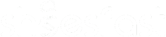 Shoesfast